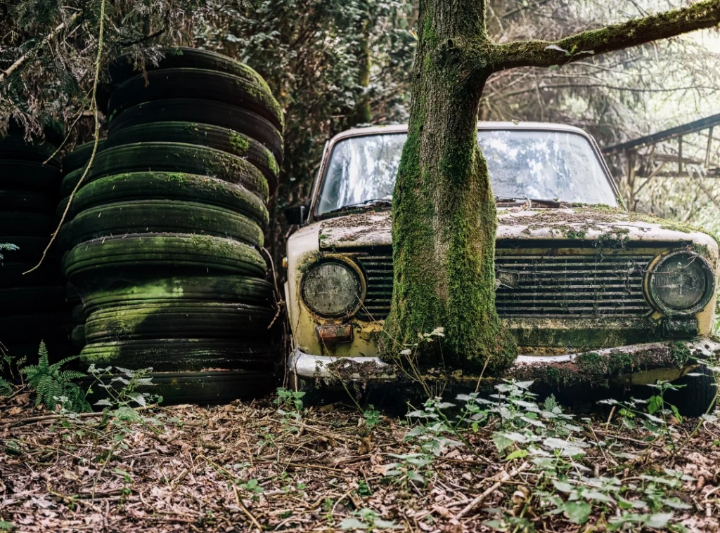 a car with moss on the front and a tree in the woods