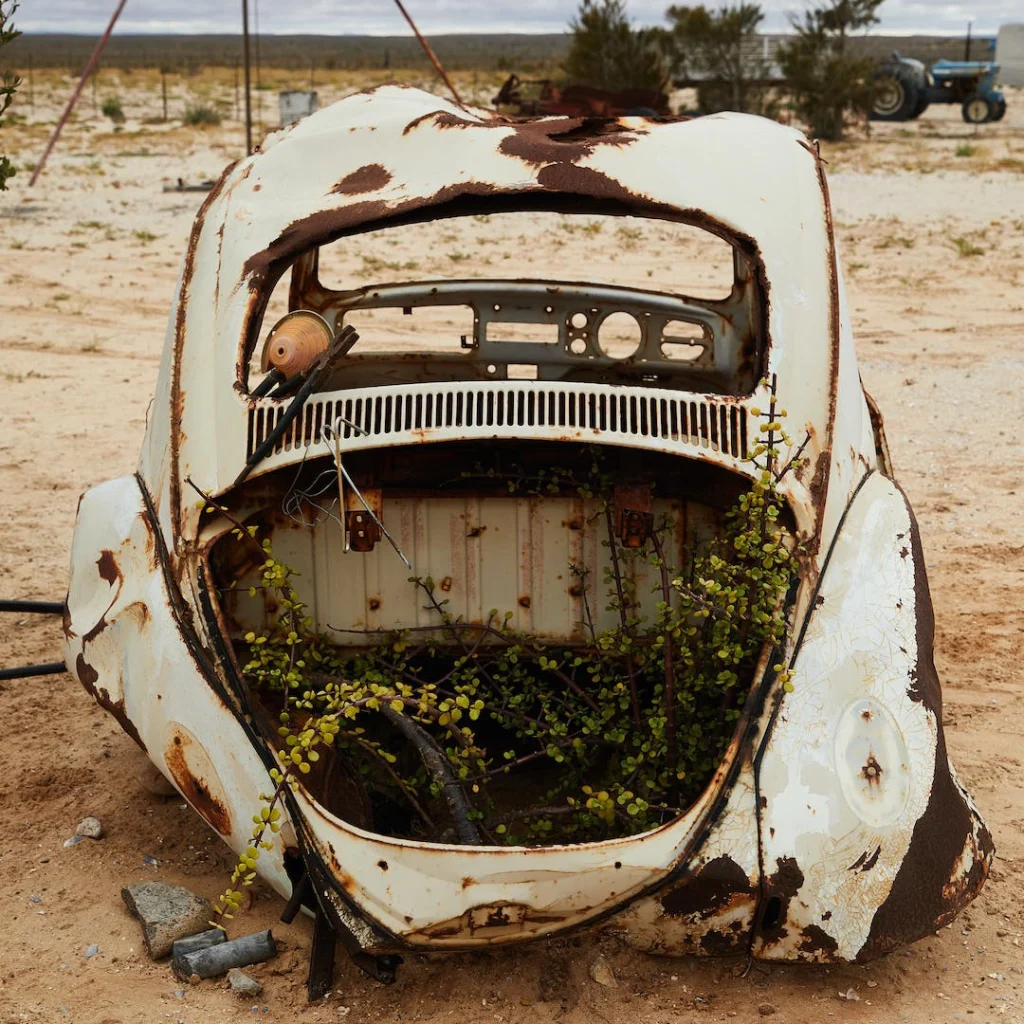 a rusty car with plants growing out of it